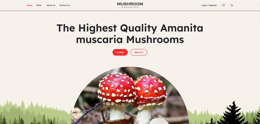 Интернет магазин на английском языке - Mushroomparadise